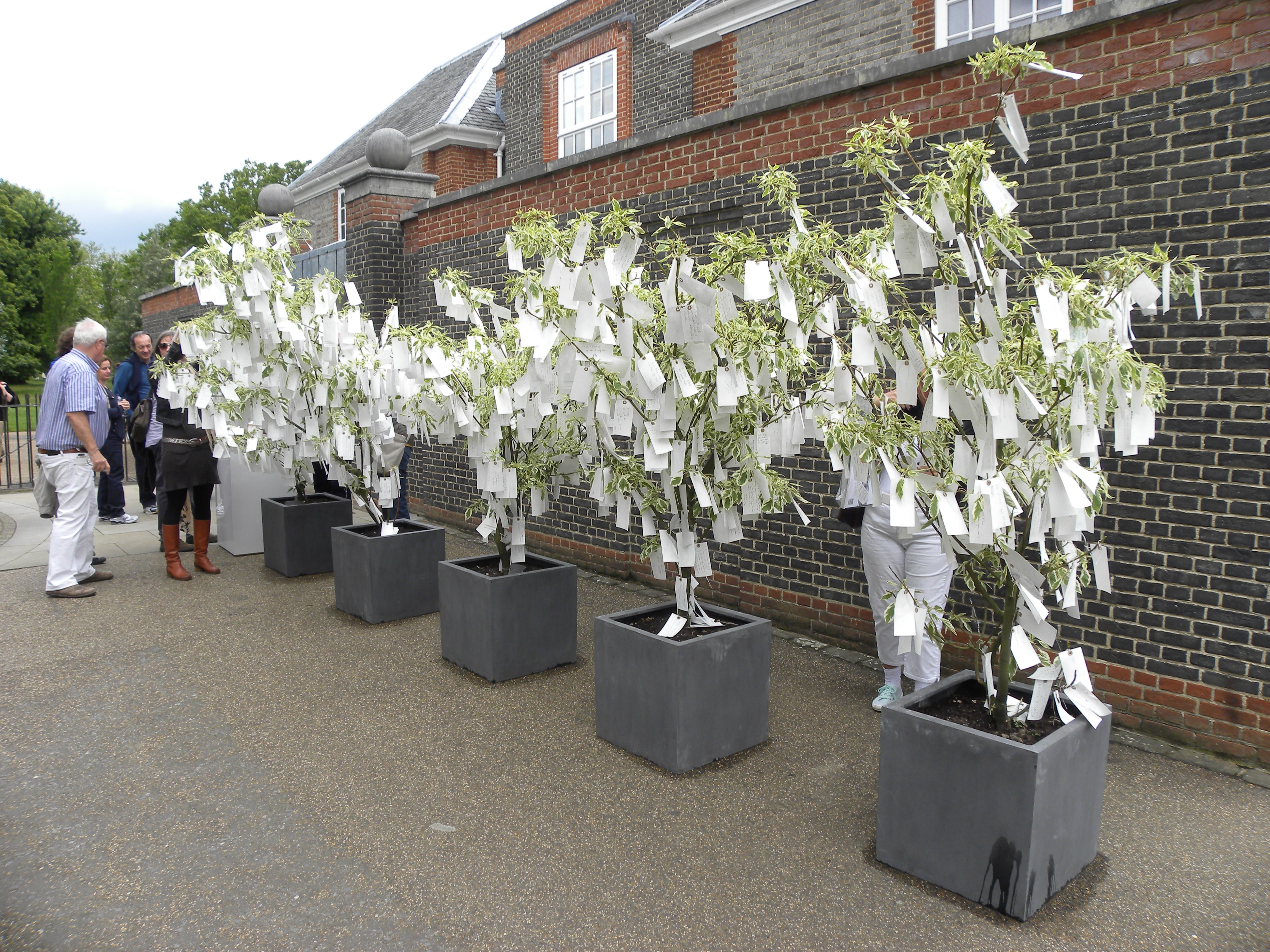 Yoko Ono's Wish Trees for London